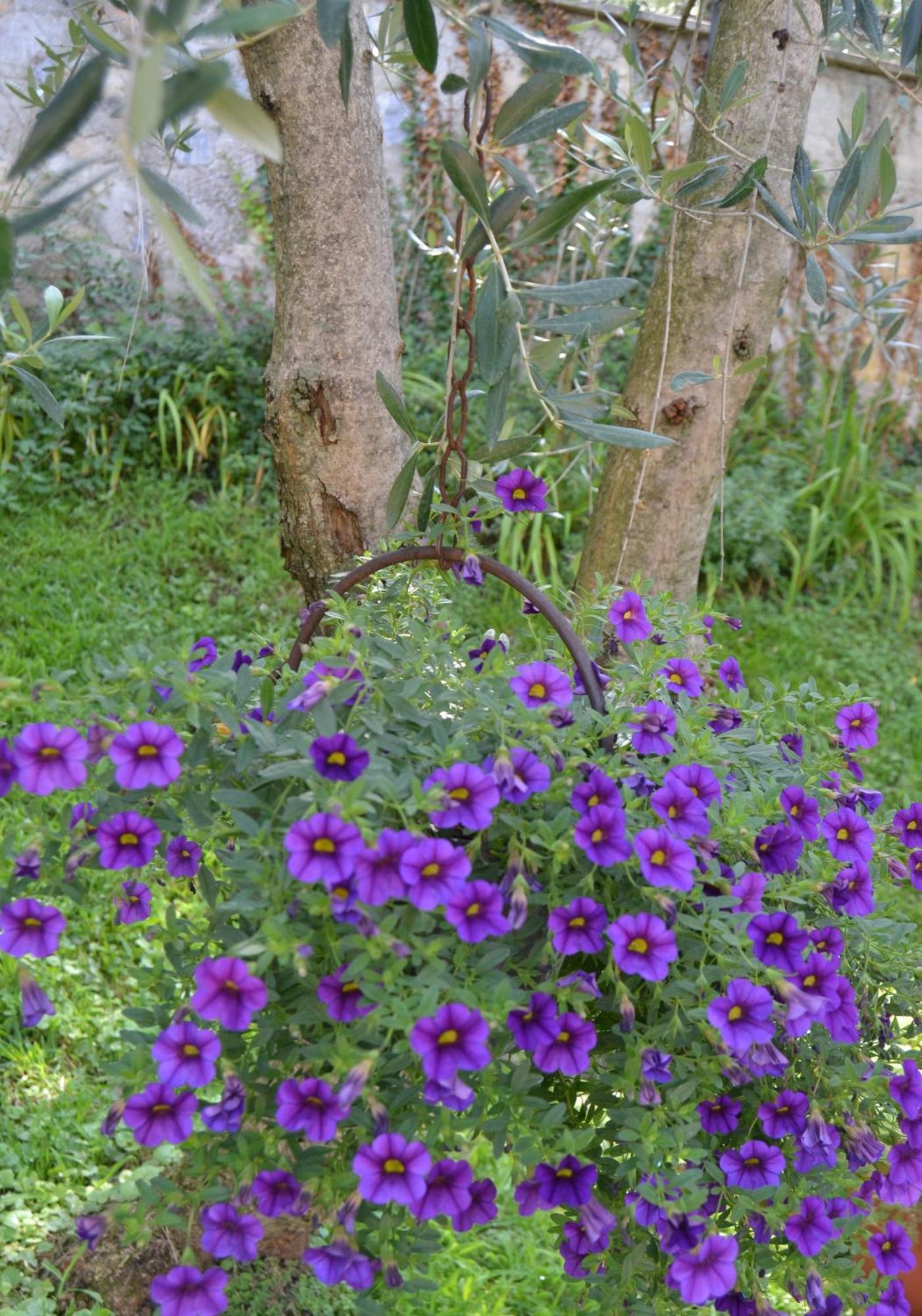 Appartamenti La Perla Malcesine Buitenkant foto