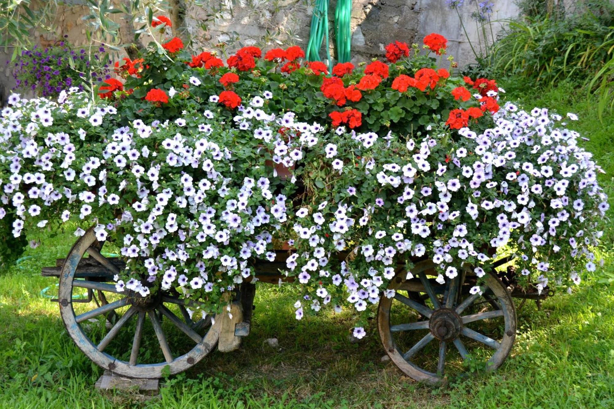 Appartamenti La Perla Malcesine Buitenkant foto