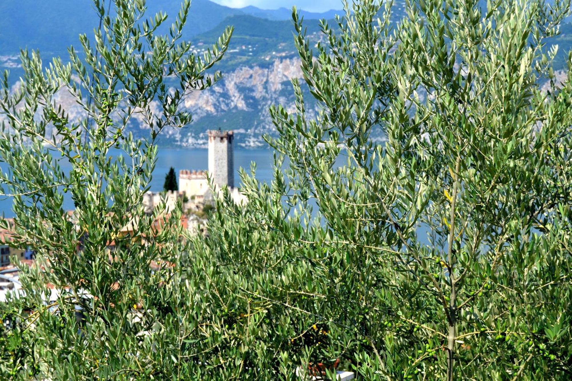 Appartamenti La Perla Malcesine Buitenkant foto